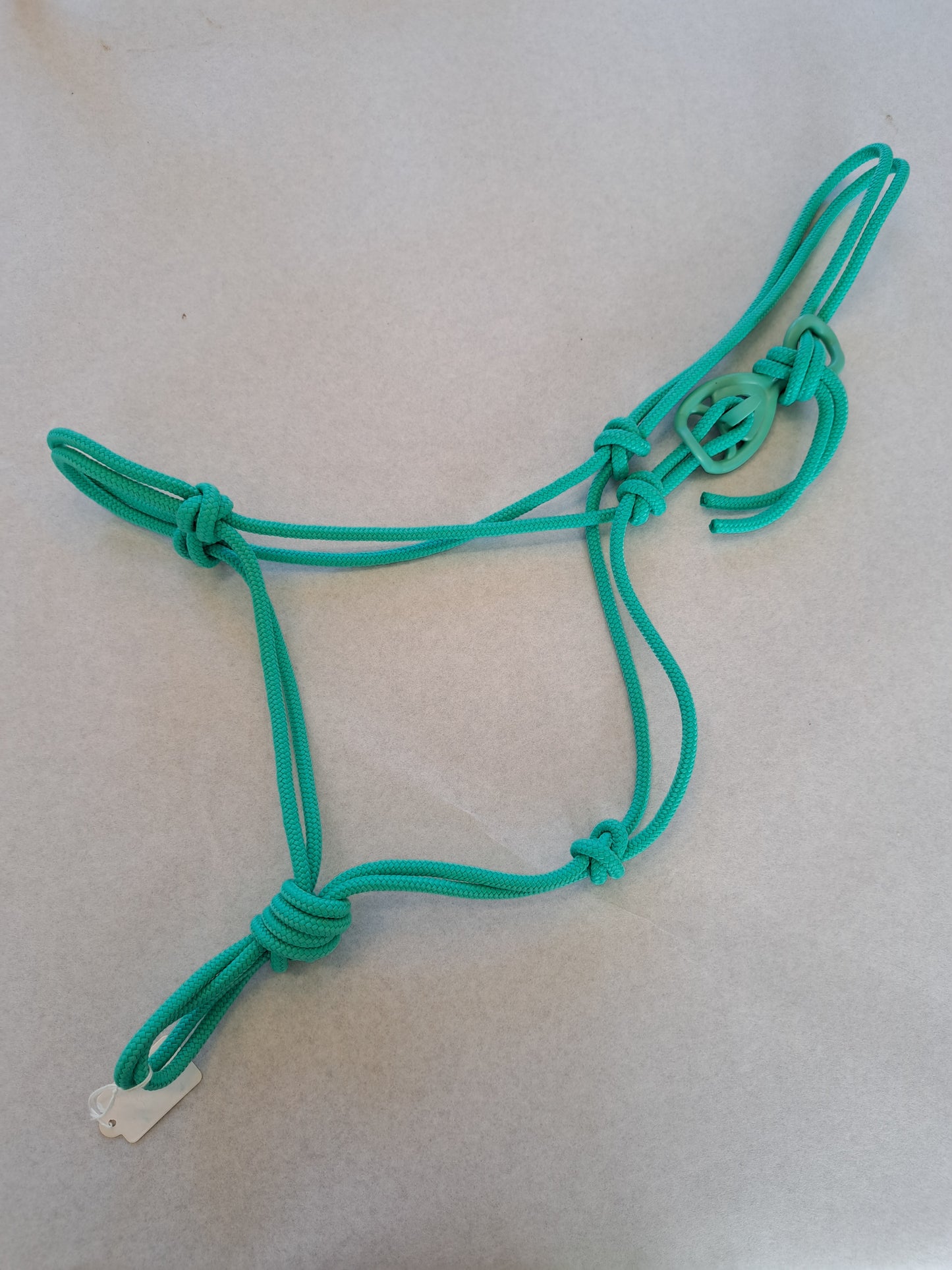 Licol éthologique shetland