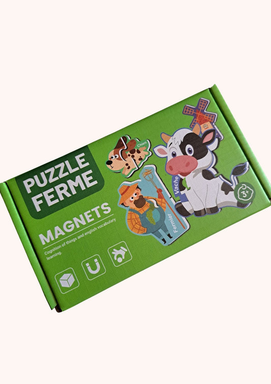 Puzzle magnétiques