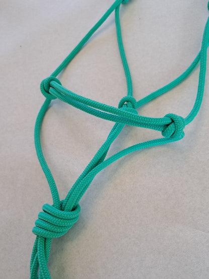 Licol éthologique shetland