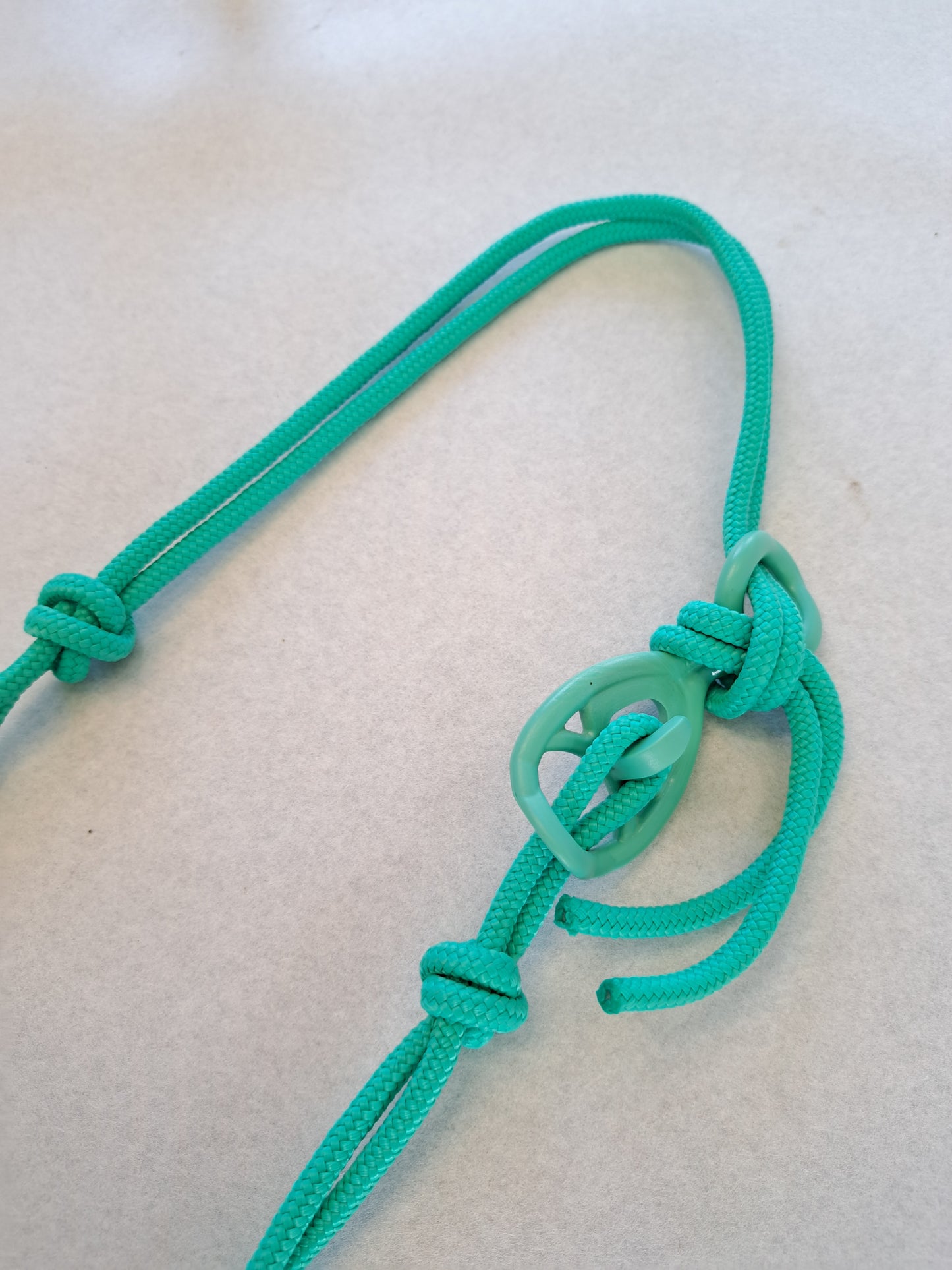 Licol éthologique shetland