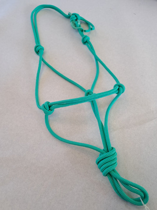 Licol éthologique shetland